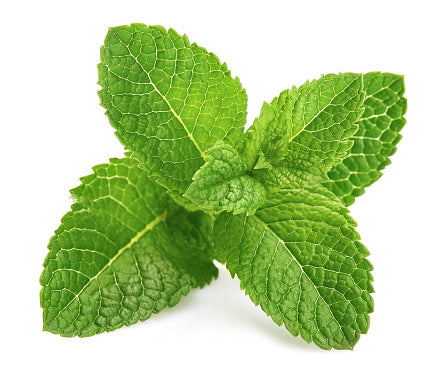 Peppermint